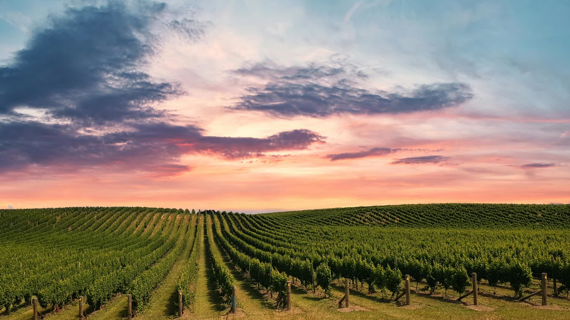 Wine and Scenic Journeys